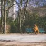 无码中文字幕影音先锋 178o7