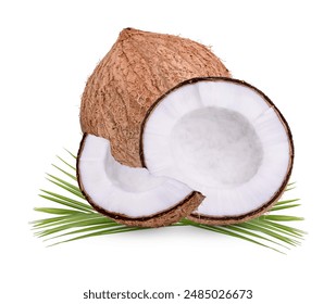 看污片神器版app下载ios 看污片神器版app下载ios