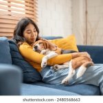 视频黄色三级 6p1l32bc