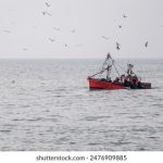 yy8098三级国语 k9n4w1orlh