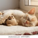 yy6080新觉世影影院手机版 kj92t75