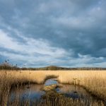 全面解析:适用于PC的镜像软件推荐与使用指南 40o644apzn