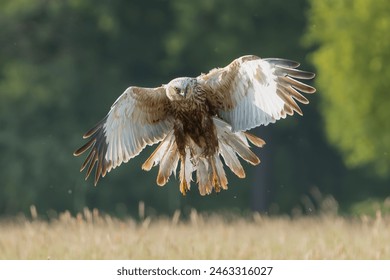 悟空影视在线观看免费观看:畅享海量影视资源,随时随地观看精彩影片 悟空影视在线观看免费观看:畅享海量影视资源,随时随地观看精彩影片