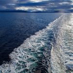 免费电影在线播放高清:畅享无广告的高清影视盛宴 gip9n