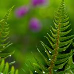 探索AO3上的RWBY同人作品:角色与剧情的无限可能 8oo507h2