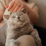 探索高效学习的导航入口,助你事半功倍 fb2fe9