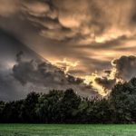 探索P站搬运工的永久页资源与使用技巧 fe9tebhu7c