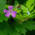 探索好看好玩好用的导航网站,畅享网络世界 fv2z2zaft0