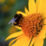 扣扣传媒免费观看:畅享海量影视资源,尽在指尖轻松获取 vd586d